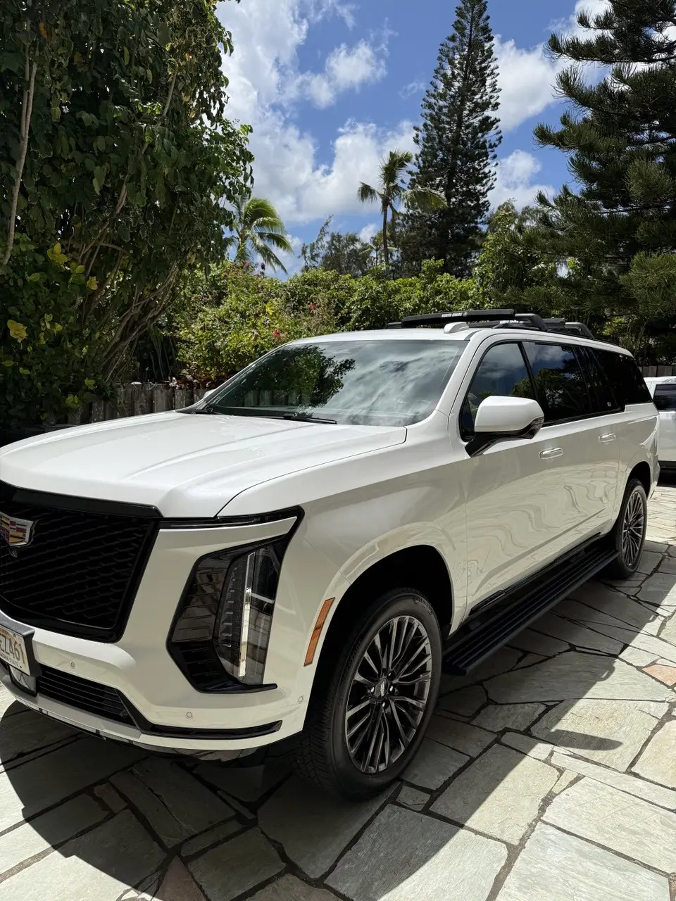 Freshly detailed white Cadillac Escalade under palm trees on the North Shore of Oahu